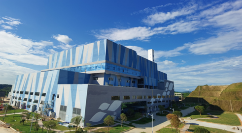 ����۶������������𷢵糧